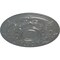 Ekena Millwork Darnay Ceiling Medallion (Fits Canopies up to 7 1/4"), Hand-Painted Platinum, 29 1/4"OD x 2"P CM29DAPLS - alternate 4